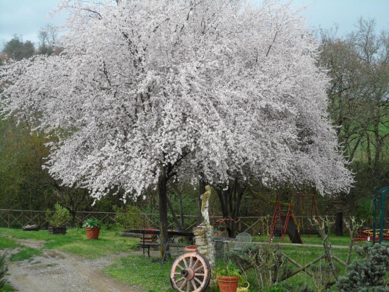 Locanda Delle Noci Perugia Eksteriør bilde